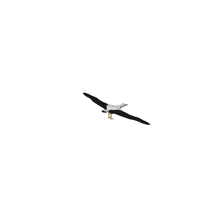In-game creature asset render of Albatross